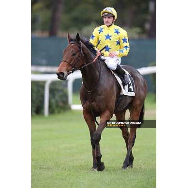 Stephane Pasquier on King Air after winning the Premio Ribot Rome- Capannelle racecourse,4th nov.2012 ph.Stefano Grasso