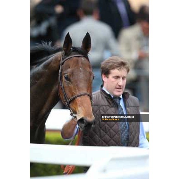 King Air parades after winning the Premio Ribot Roma - Capannelle racecourse,4th nov.2012 ph.Stefano Grasso