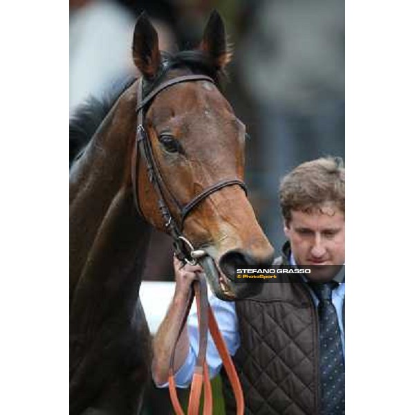 King Air parades after winning the Premio Ribot Roma - Capannelle racecourse,4th nov.2012 ph.Stefano Grasso