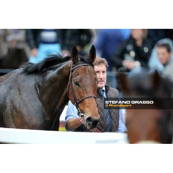 King Air parades after winning the Premio Ribot Roma - Capannelle racecourse,4th nov.2012 ph.Stefano Grasso