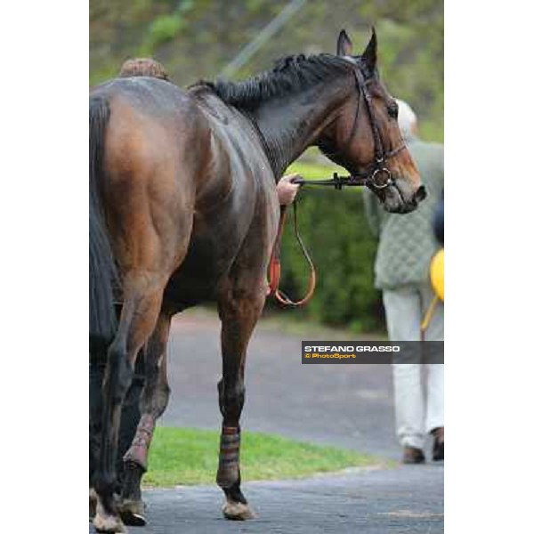 King Air parades after winning the Premio Ribot Roma - Capannelle racecourse,4th nov.2012 ph.Stefano Grasso
