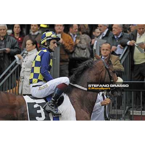 Fabio Branca and Douce Vie Rome- Capannelle racecourse,4th nov.2012 ph.Stefano Grasso