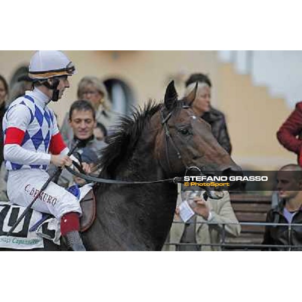 Cristian Demuro and Ramsom Hope Rome- Capannelle racecourse,4th nov.2012 ph.Stefano Grasso