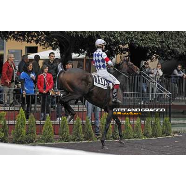 Cristian Demuro and Ramsom Hope Rome- Capannelle racecourse,4th nov.2012 ph.Stefano Grasso