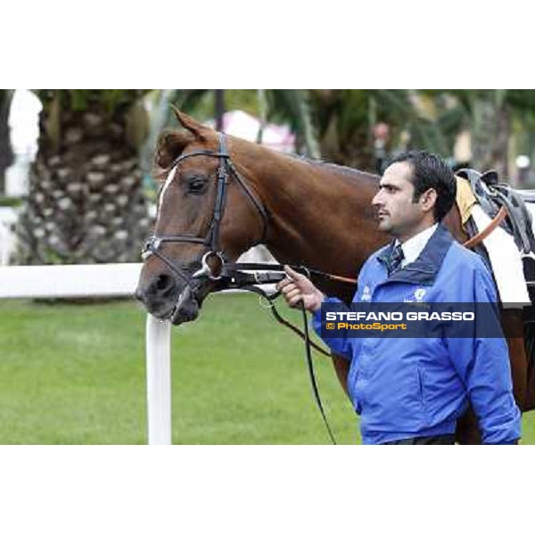 Hunter\'s Light Rome- Capannelle racecourse,4th nov.2012 ph.Stefano Grasso