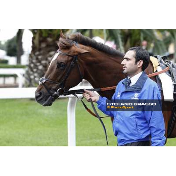Hunter\'s Light Rome- Capannelle racecourse,4th nov.2012 ph.Stefano Grasso