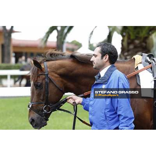 Hunter\'s Light Rome- Capannelle racecourse,4th nov.2012 ph.Stefano Grasso