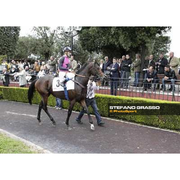 Olivier Peslier on Feuerblitz Rome- Capannelle racecourse,4th nov.2012 ph.Stefano Grasso