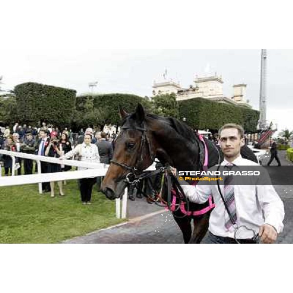 Feueurblitz parades after the Gran Premio Roma GBI Racing Rome- Capannelle racecourse,4th nov.2012 ph.Stefano Grasso