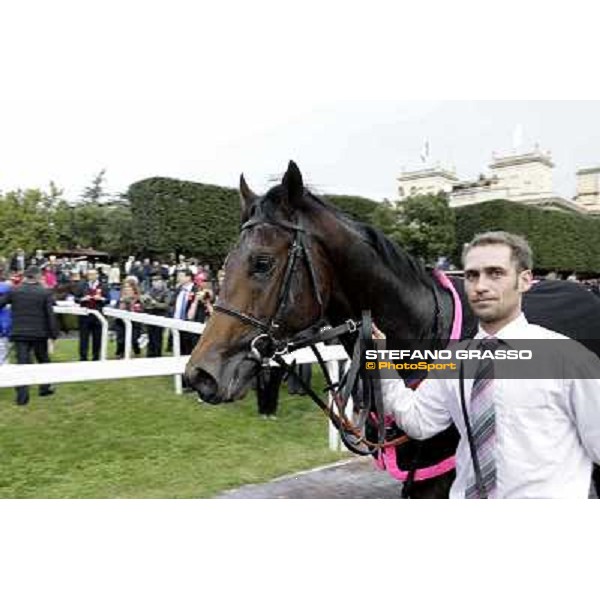 Feueurblitz parades after the Gran Premio Roma GBI Racing Rome- Capannelle racecourse,4th nov.2012 ph.Stefano Grasso