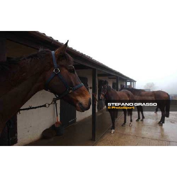 Dauncey\'s Farm Purton, Gloucesteshire 19th march 2005 Ph. Stefano Grasso 