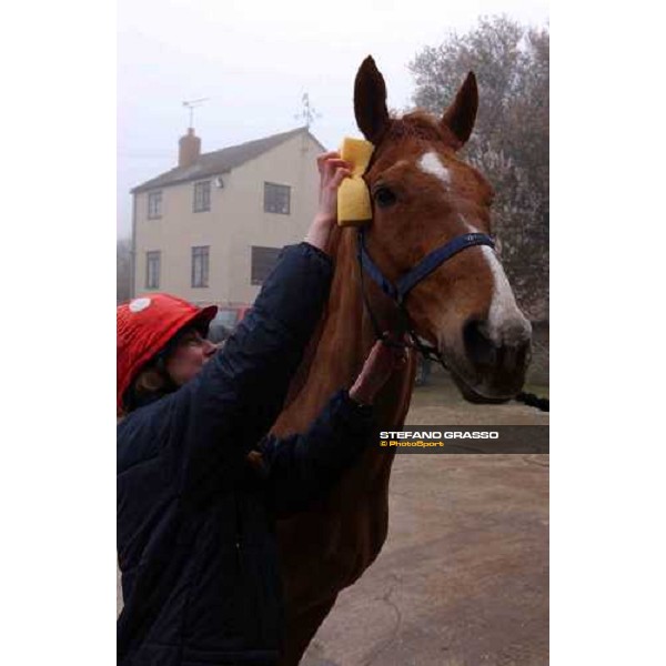 Jo and Blazing Batman Dauncey\'s Farm Purton, Gloucesteshire 19th march 2005 Ph. Stefano Grasso