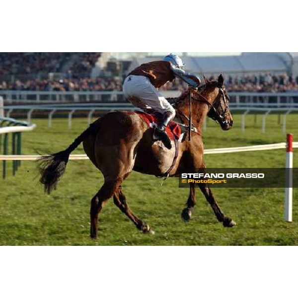 Dr. Philip Pritchard with Davoski, running to the line of The Johnny Henderson Grand Annual Steeple Chase Cheltenham - The Festival 18th march 2005 Ph. Stefano Grasso