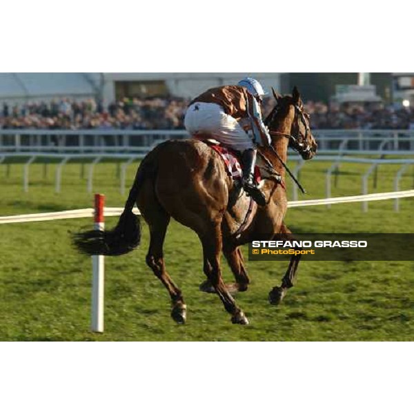 Dr. Philip Pritchard with Davoski, running to the line of The Johnny Henderson Grand Annual Steeple Chase Cheltenham - The Festival 18th march 2005 Ph. Stefano Grasso