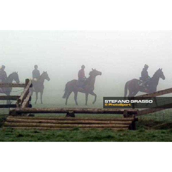 morning works Purton, Gloucestershire 19th march 2005 Ph. Stefano Grasso
