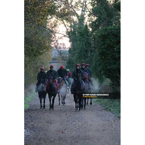 A morning at Endo Botti racing stable Pisa - San Rossore,7th nov.2012 ph.Stefano Grasso