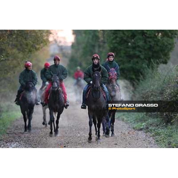 A morning at Endo Botti racing stable Pisa - San Rossore,7th nov.2012 ph.Stefano Grasso