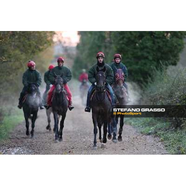 A morning at Endo Botti racing stable Pisa - San Rossore,7th nov.2012 ph.Stefano Grasso