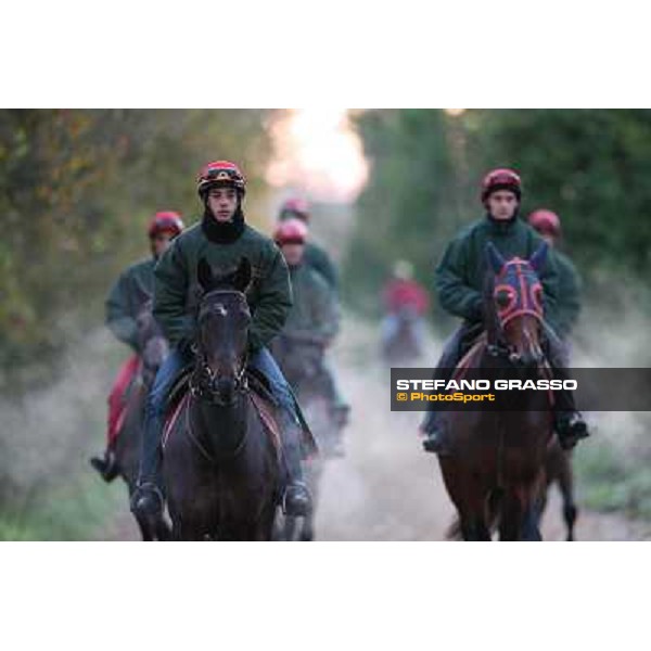 A morning at Endo Botti racing stable Pisa - San Rossore,7th nov.2012 ph.Stefano Grasso