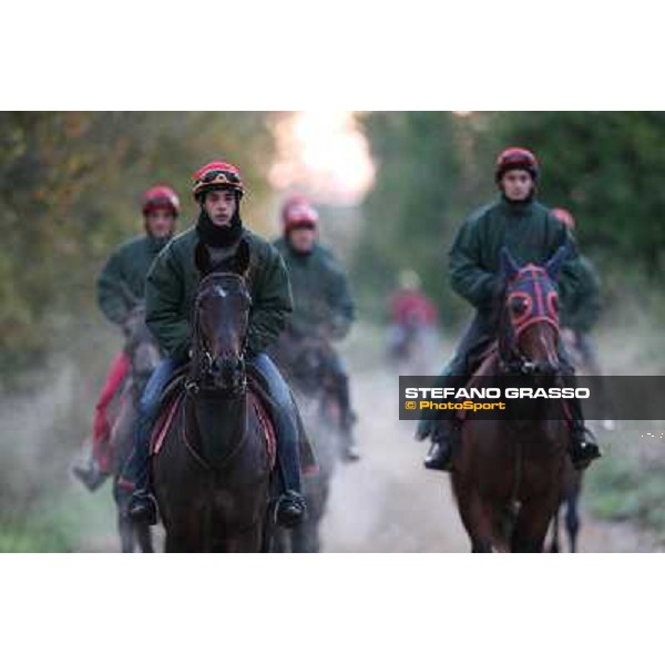 A morning at Endo Botti racing stable Pisa - San Rossore,7th nov.2012 ph.Stefano Grasso