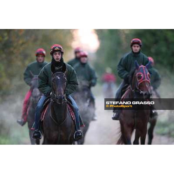 A morning at Endo Botti racing stable Pisa - San Rossore,7th nov.2012 ph.Stefano Grasso