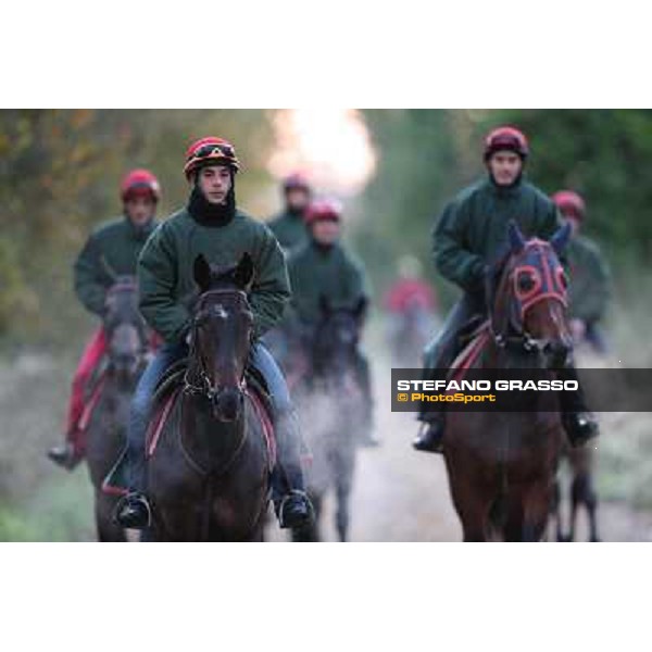 A morning at Endo Botti racing stable Pisa - San Rossore,7th nov.2012 ph.Stefano Grasso