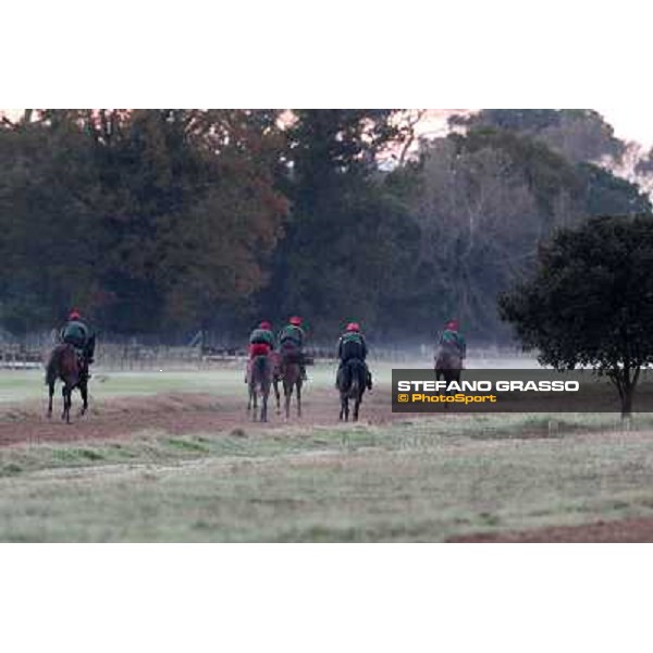 A morning at Endo Botti racing stable Pisa - San Rossore,7th nov.2012 ph.Stefano Grasso