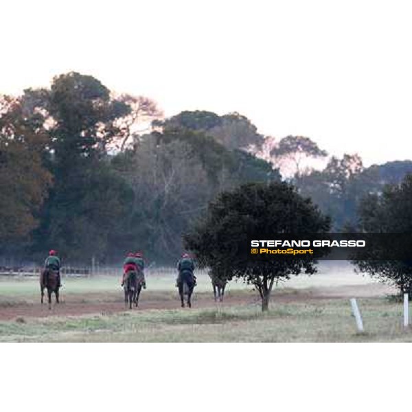 A morning at Endo Botti racing stable Pisa - San Rossore,7th nov.2012 ph.Stefano Grasso