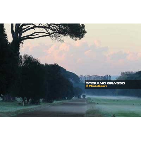 A morning at Endo Botti racing stable Pisa - San Rossore,7th nov.2012 ph.Stefano Grasso