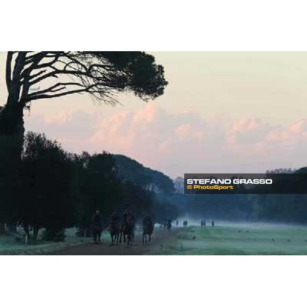 A morning at Endo Botti racing stable Pisa - San Rossore,7th nov.2012 ph.Stefano Grasso