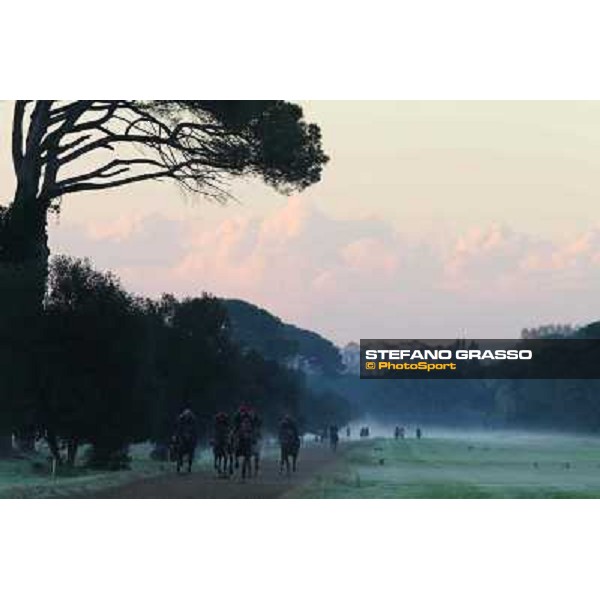 A morning at Endo Botti racing stable Pisa - San Rossore,7th nov.2012 ph.Stefano Grasso