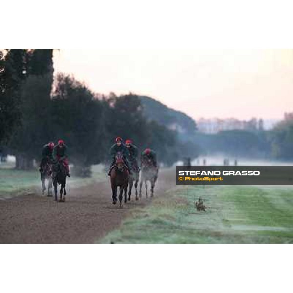 A morning at Endo Botti racing stable Pisa - San Rossore,7th nov.2012 ph.Stefano Grasso