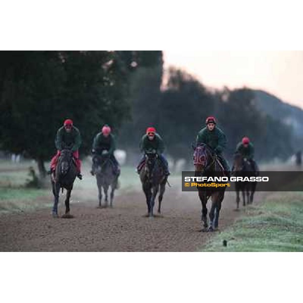 A morning at Endo Botti racing stable Pisa - San Rossore,7th nov.2012 ph.Stefano Grasso