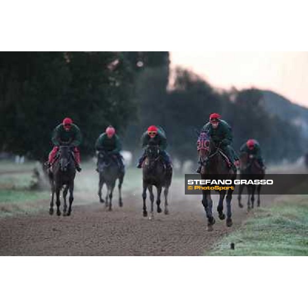 A morning at Endo Botti racing stable Pisa - San Rossore,7th nov.2012 ph.Stefano Grasso
