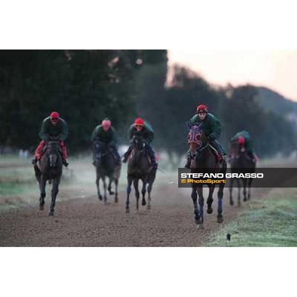 A morning at Endo Botti racing stable Pisa - San Rossore,7th nov.2012 ph.Stefano Grasso