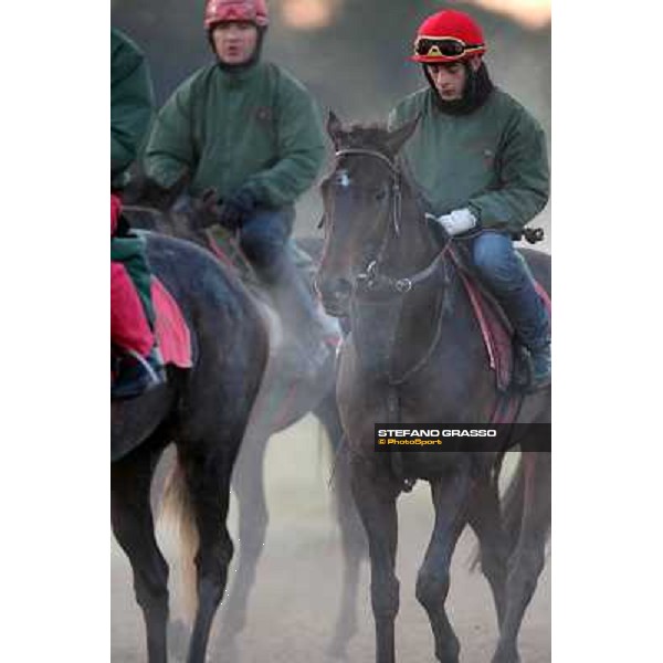 A morning at Endo Botti racing stable Pisa - San Rossore,7th nov.2012 ph.Stefano Grasso