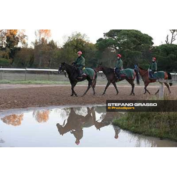 A morning at Endo Botti racing stable Pisa - San Rossore,7th nov.2012 ph.Stefano Grasso
