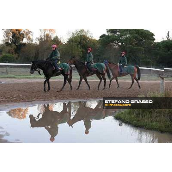 A morning at Endo Botti racing stable Pisa - San Rossore,7th nov.2012 ph.Stefano Grasso