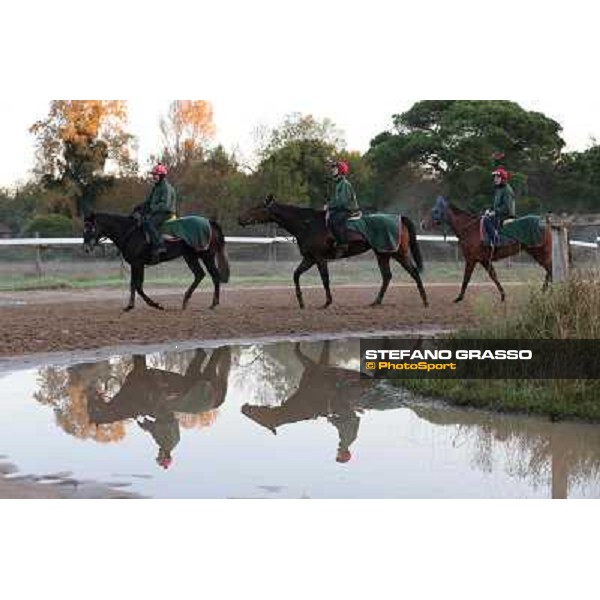 A morning at Endo Botti racing stable Pisa - San Rossore,7th nov.2012 ph.Stefano Grasso