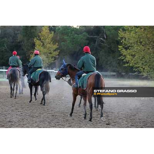 A morning at Endo Botti racing stable Pisa - San Rossore,7th nov.2012 ph.Stefano Grasso