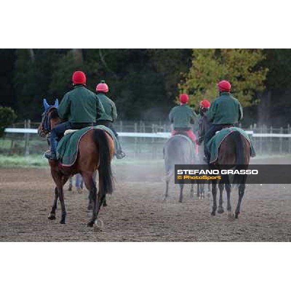 A morning at Endo Botti racing stable Pisa - San Rossore,7th nov.2012 ph.Stefano Grasso