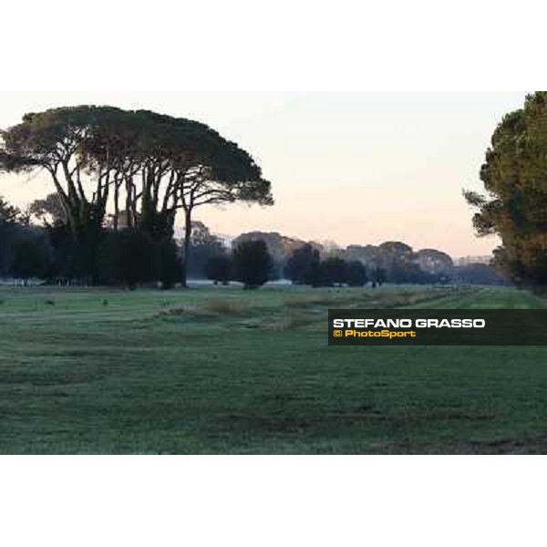 A morning at Endo Botti racing stable Pisa - San Rossore,7th nov.2012 ph.Stefano Grasso