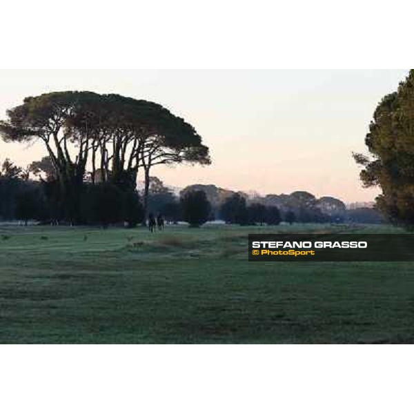 A morning at Endo Botti racing stable Pisa - San Rossore,7th nov.2012 ph.Stefano Grasso
