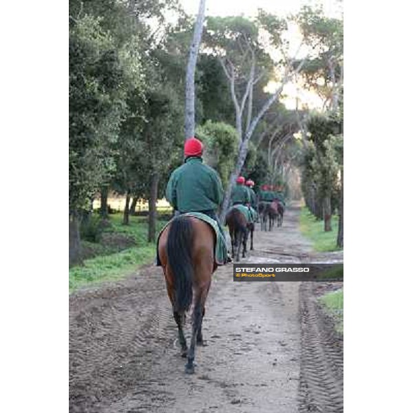 A morning at Endo Botti racing stable Pisa - San Rossore,7th nov.2012 ph.Stefano Grasso