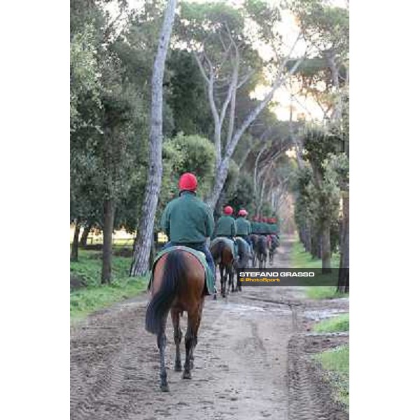 A morning at Endo Botti racing stable Pisa - San Rossore,7th nov.2012 ph.Stefano Grasso