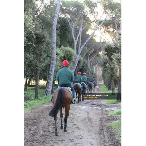 A morning at Endo Botti racing stable Pisa - San Rossore,7th nov.2012 ph.Stefano Grasso