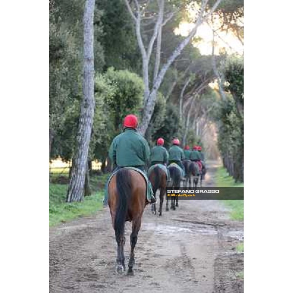 A morning at Endo Botti racing stable Pisa - San Rossore,7th nov.2012 ph.Stefano Grasso