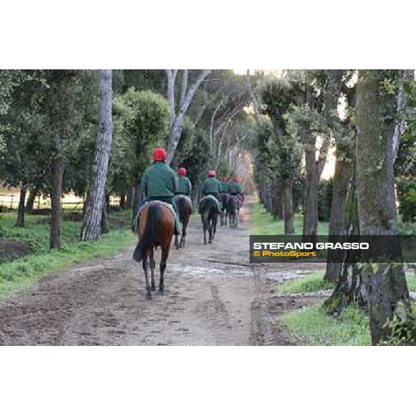 A morning at Endo Botti racing stable Pisa - San Rossore,7th nov.2012 ph.Stefano Grasso