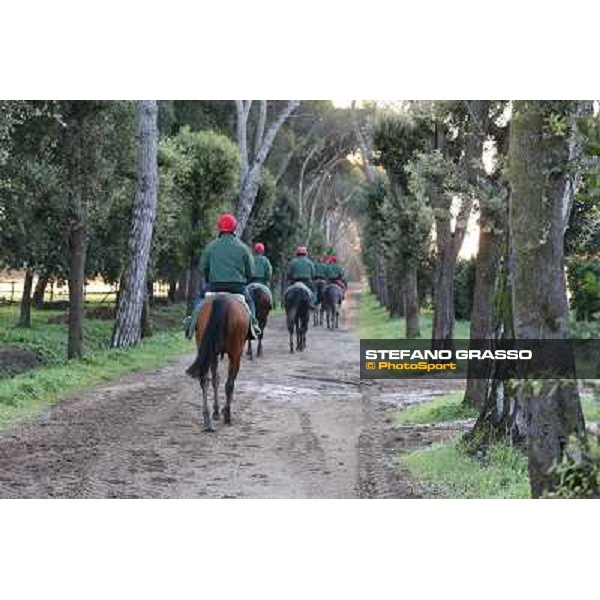 A morning at Endo Botti racing stable Pisa - San Rossore,7th nov.2012 ph.Stefano Grasso