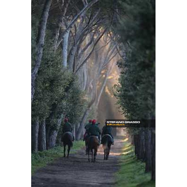 A morning at Endo Botti racing stable Pisa - San Rossore,7th nov.2012 ph.Stefano Grasso